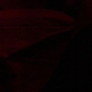 Meet your Posher, Lyndon